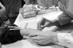 新手护士必备——静脉注射及输液法技巧