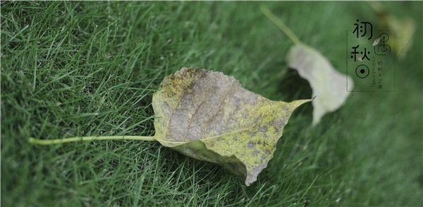 初秋之美